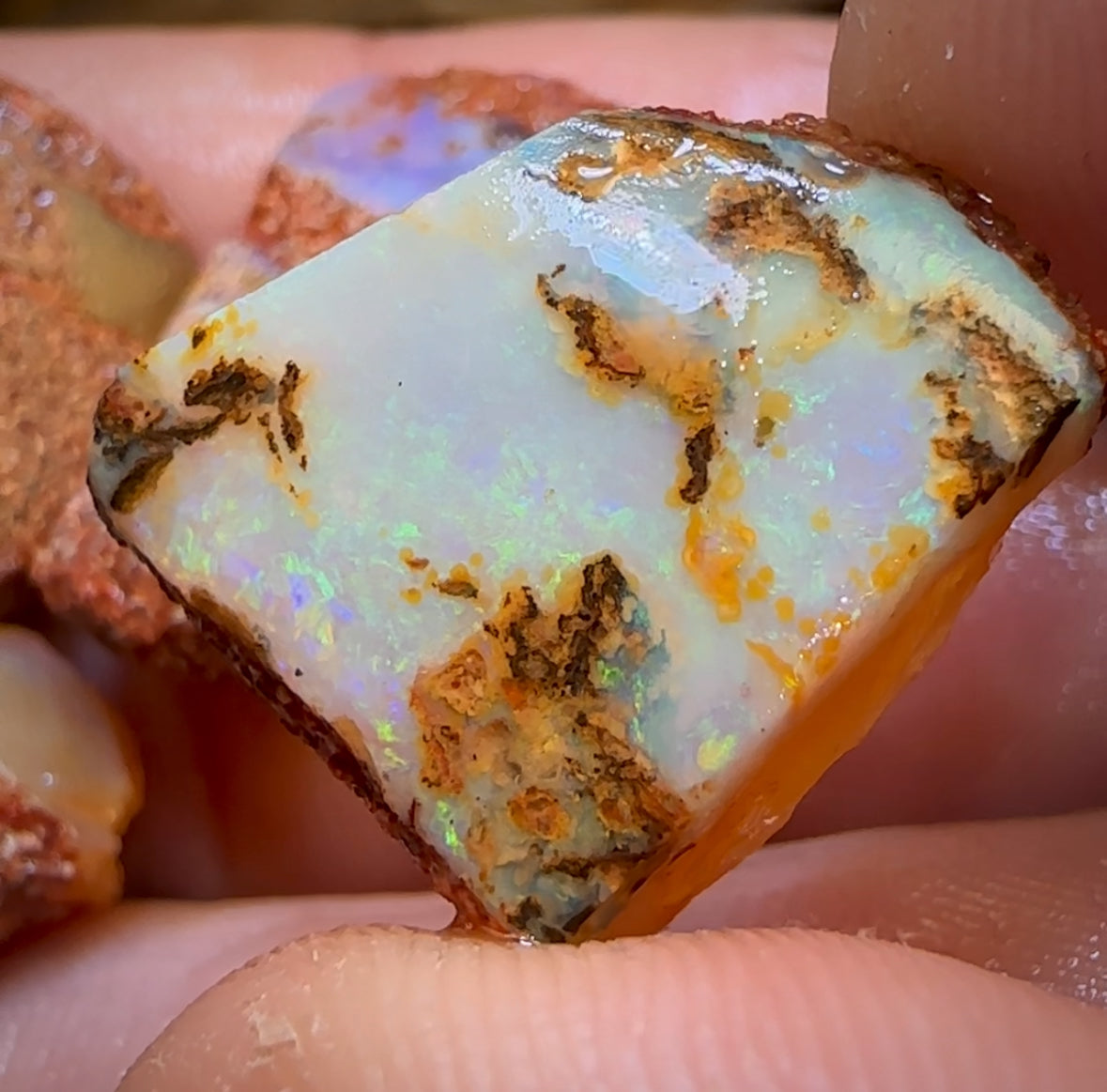 68.2cts - 5x Queensland Boulder Pipe Opal Rough Parcel