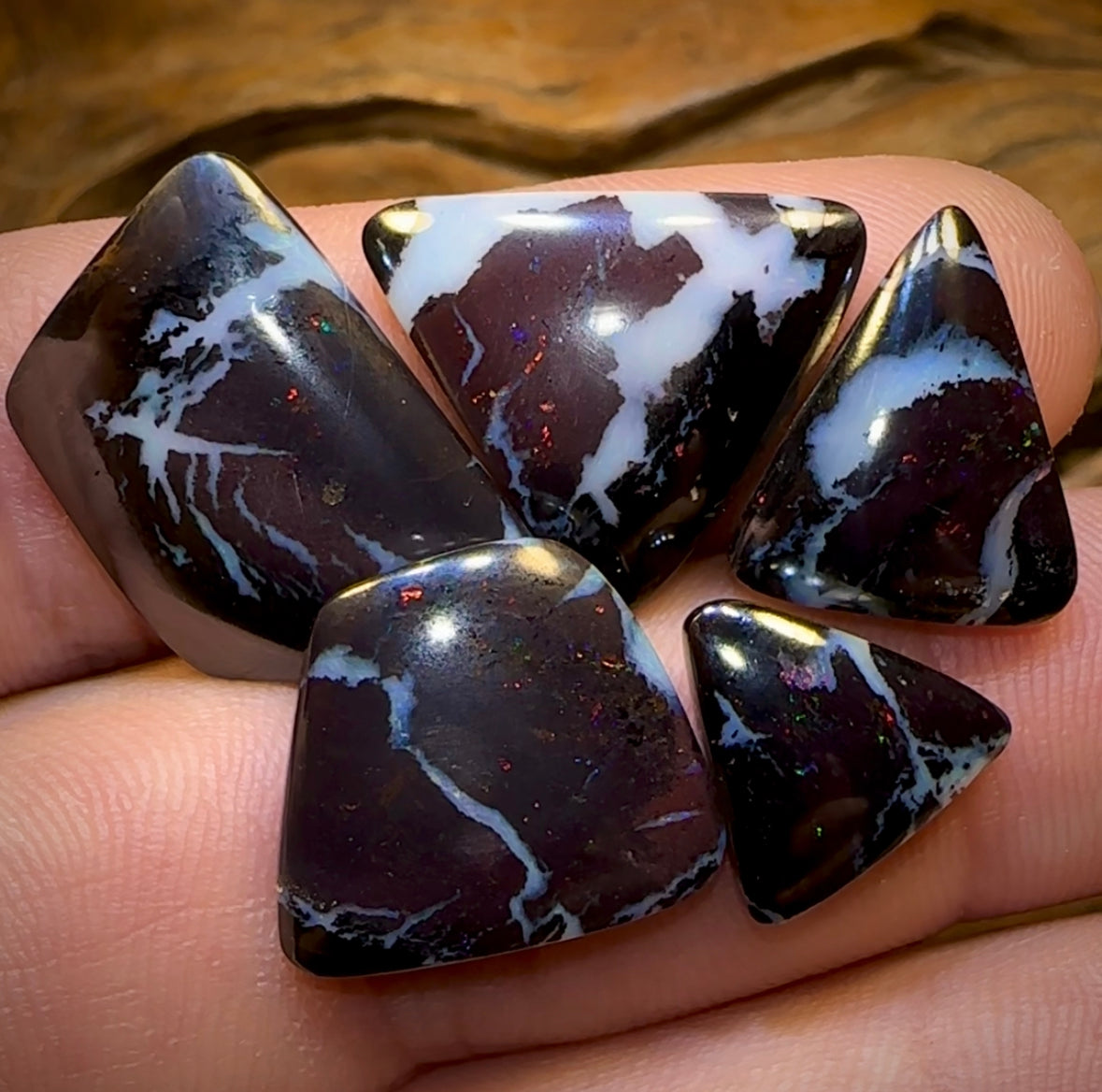 Opal Consultancy: Live Video Sessions with the Experts & Save Up to 30% - Opal Whisperers