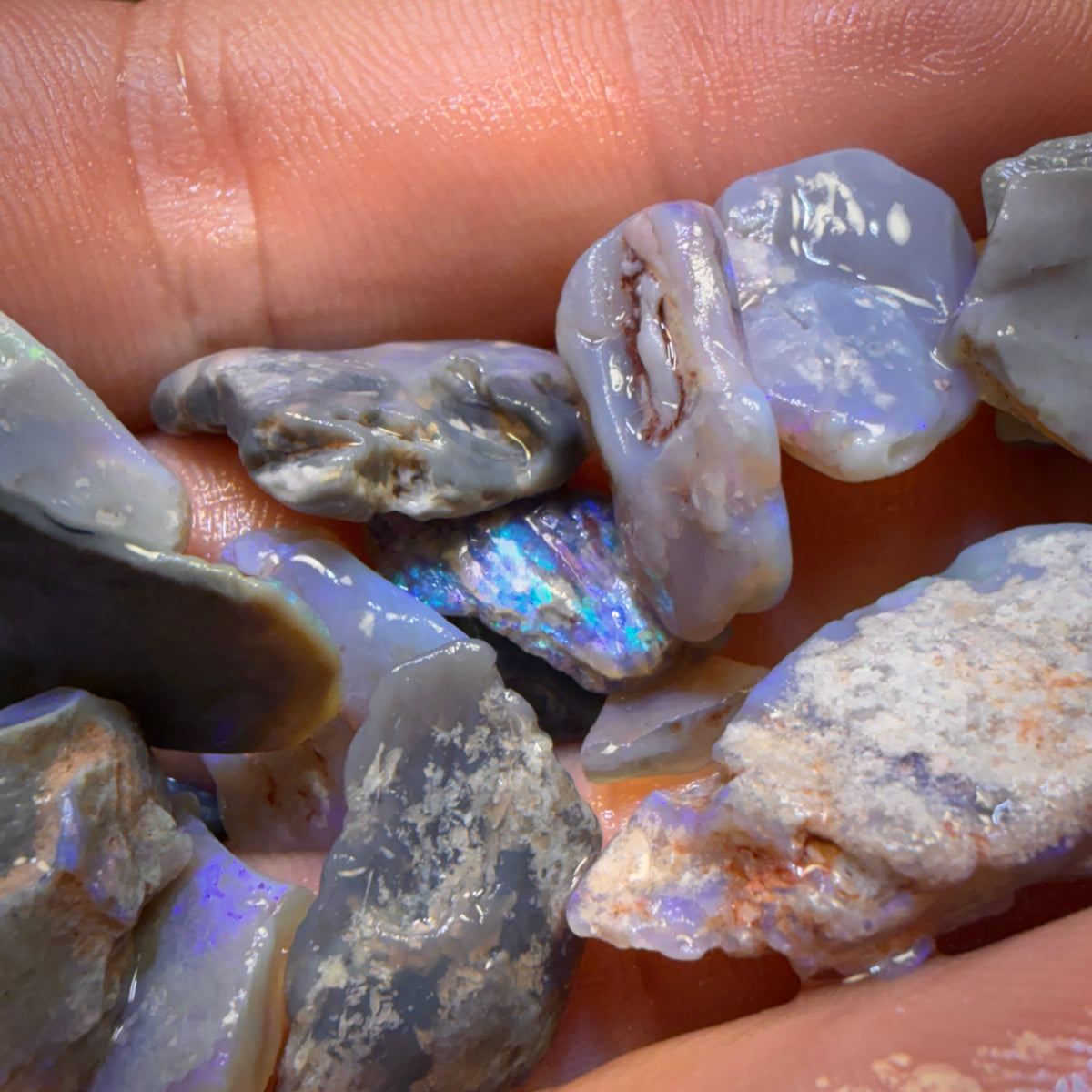 81.9cts - 21x Lightning Ridge Opal Rough Parcel