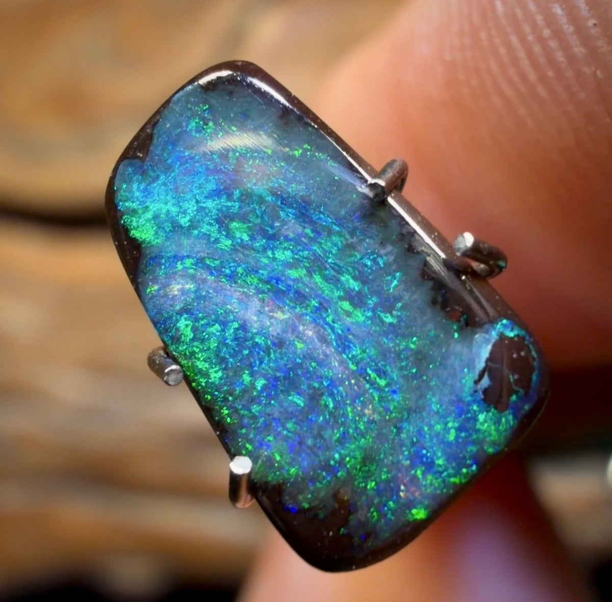 🔨 AUCTION 🔨 1.55cts - Queensland Boulder Seam Opal from Winton. Australian Opal