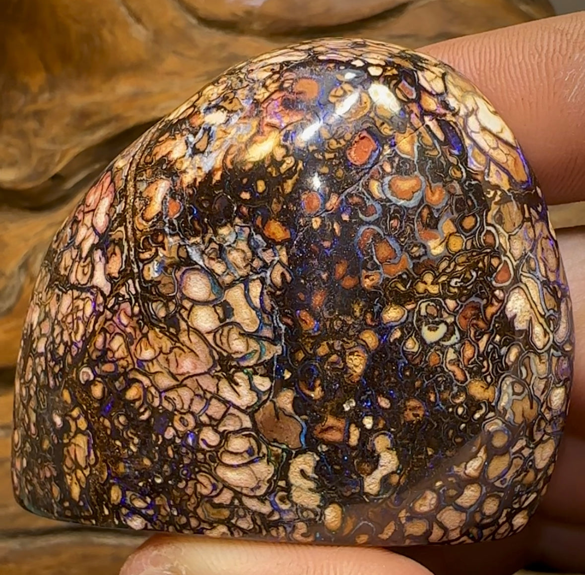 509cts - Large Tribal Australian Boulder Opal Specimen Polished - Opal Whisperers