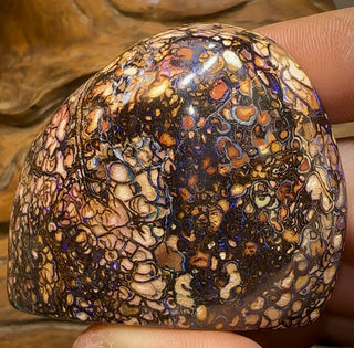 509cts - Large Tribal Australian Boulder Opal Specimen Polished