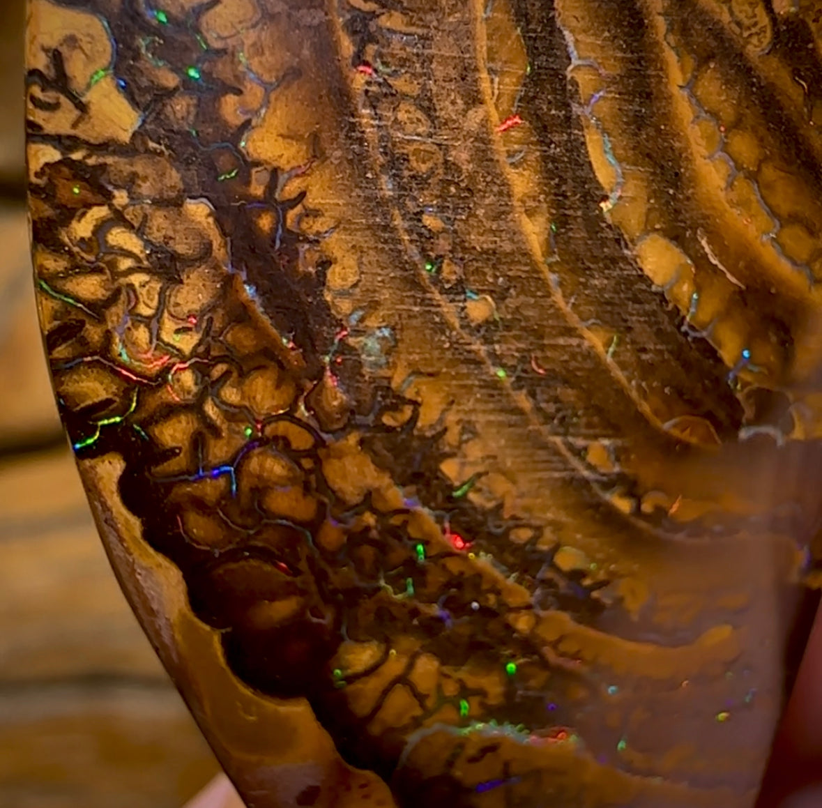 84.4cts - Big Double Sided Australian Boulder Opal. Yowah Tribal Bargain - Opal Whisperers