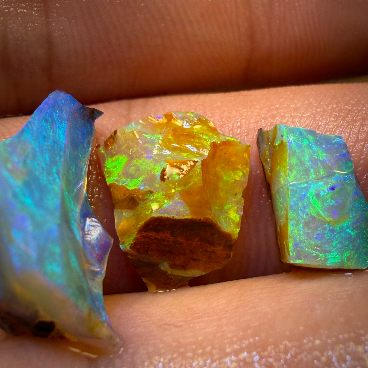 16.8cts - 4x Australian Yowah Wood fossil Crystal Opal Rough Pieces. Highly Prized Material