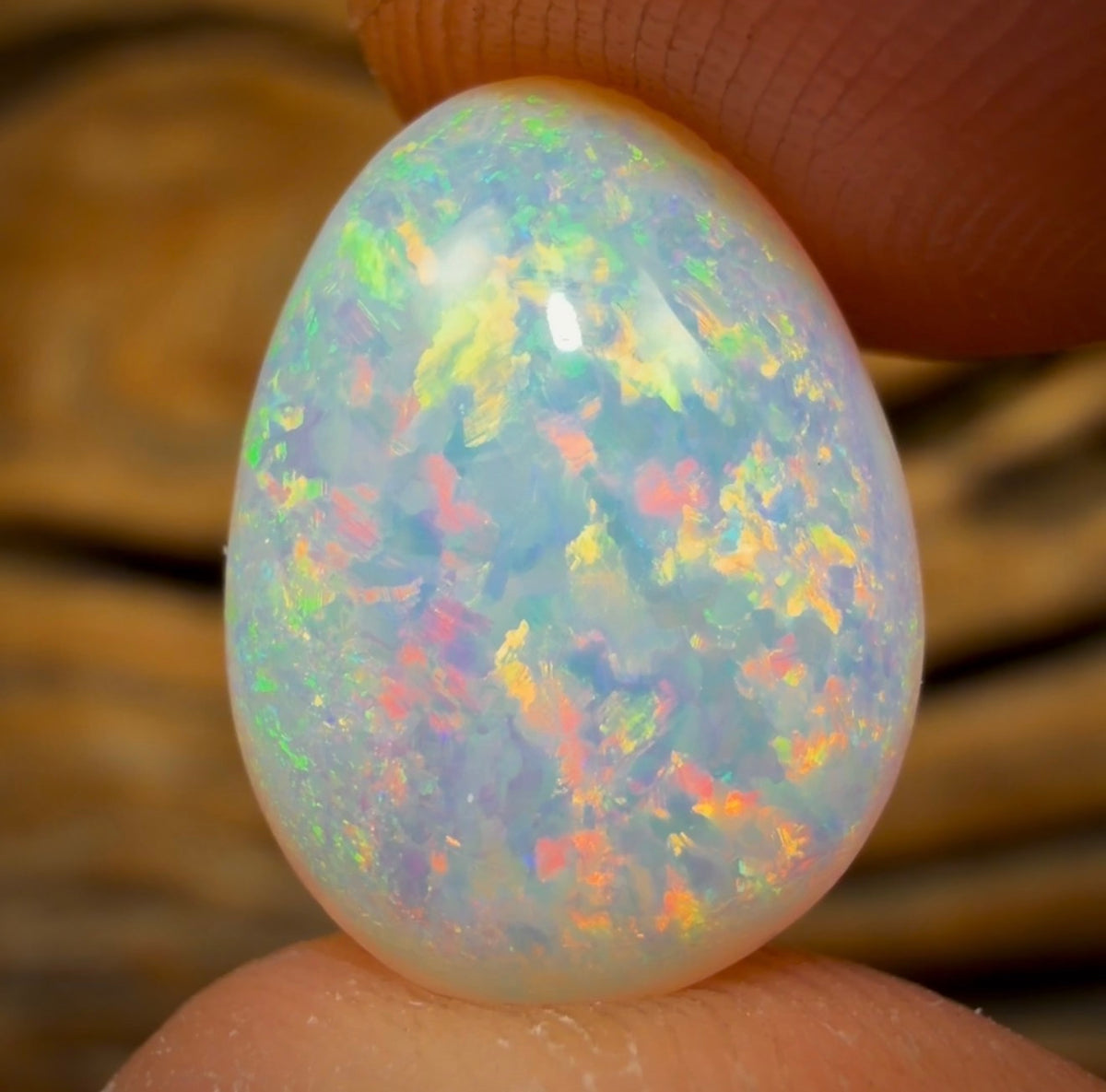 5.65cts - BANGER GEM semi crystal quality Yowah opal