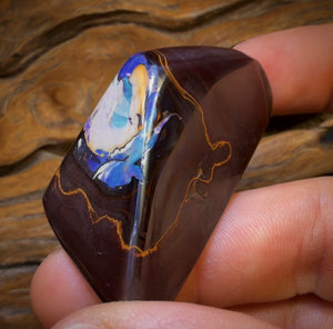 260.1cts - Yowah Nut Kernel Opal. Polished Specimen