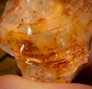 72.7cts - Opalised Shell Rare Geological Specimen from South Australia