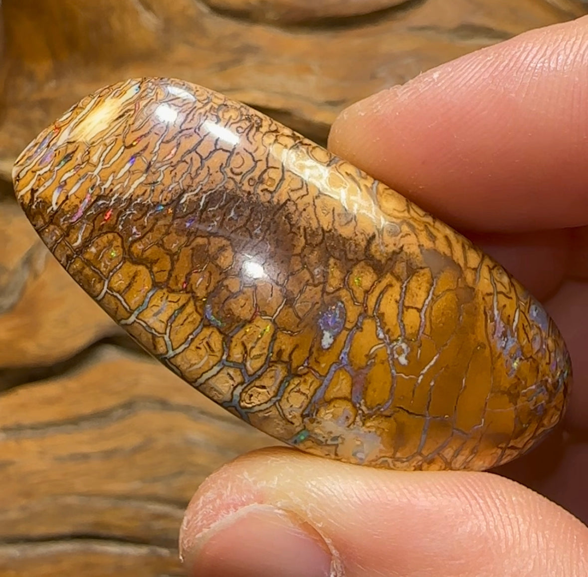 163.5cts - Reptile Skin Yowah Tribal Australian Boulder Opal - Opal Whisperers