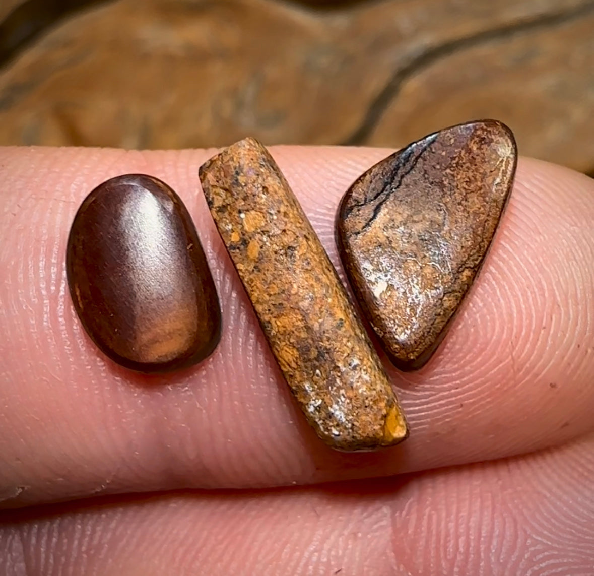 (Template) 4.9cts - 3x Loose Queensland Boulder Opals. Wholesale Parcel - Opal Whisperers