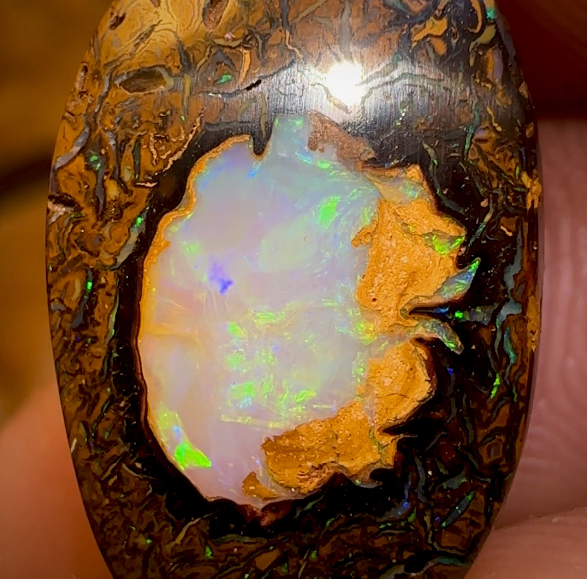 13.6cts - RARE Yowah Nut Crystal Centre Opal Rub Featured on “Outback Opal Hunters”!