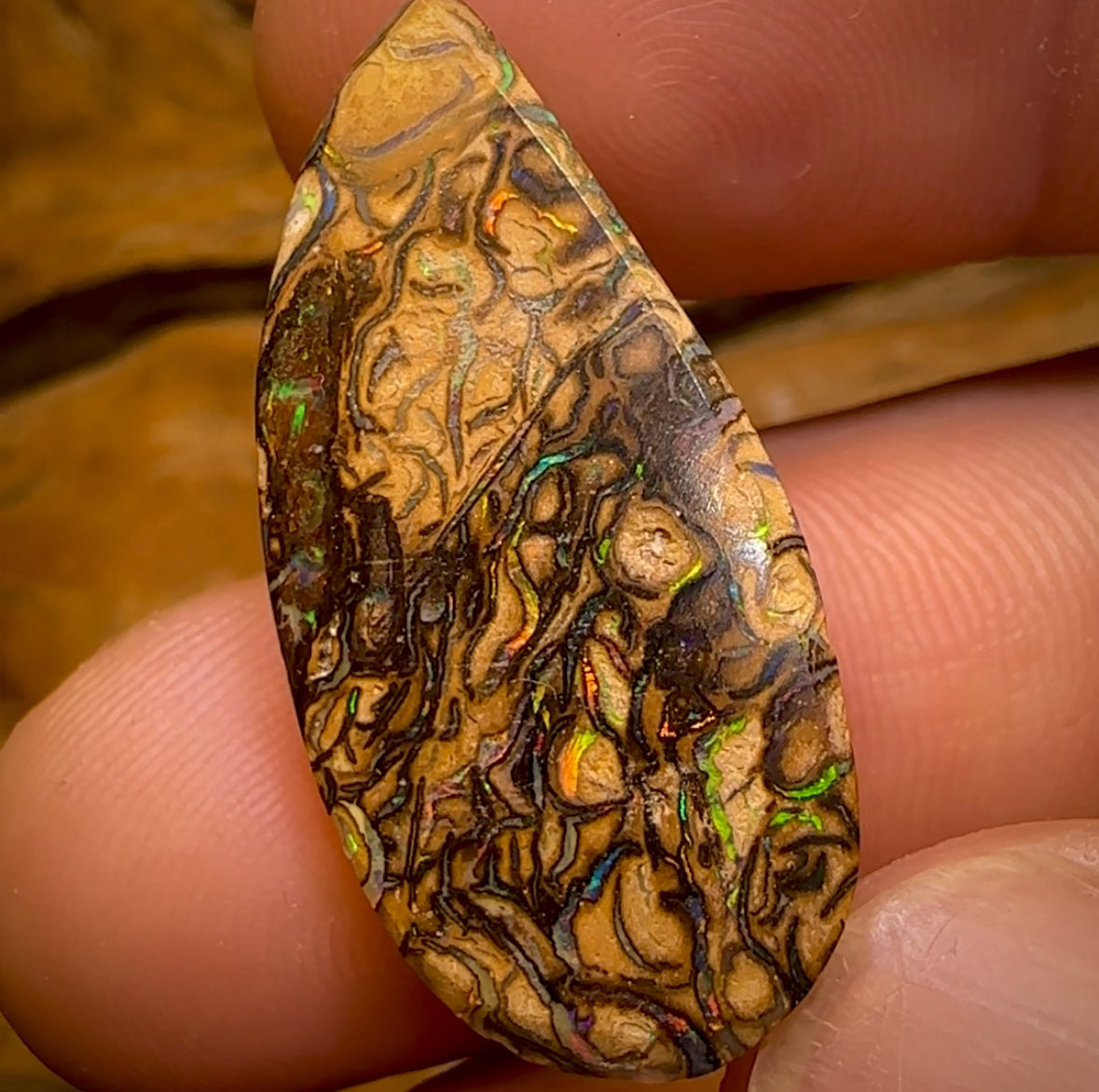 28.5cts - “Celebrity Stone” Top Tan Tribal Yowah Nut Opal. Featured on “Outback Opal Hunters”!