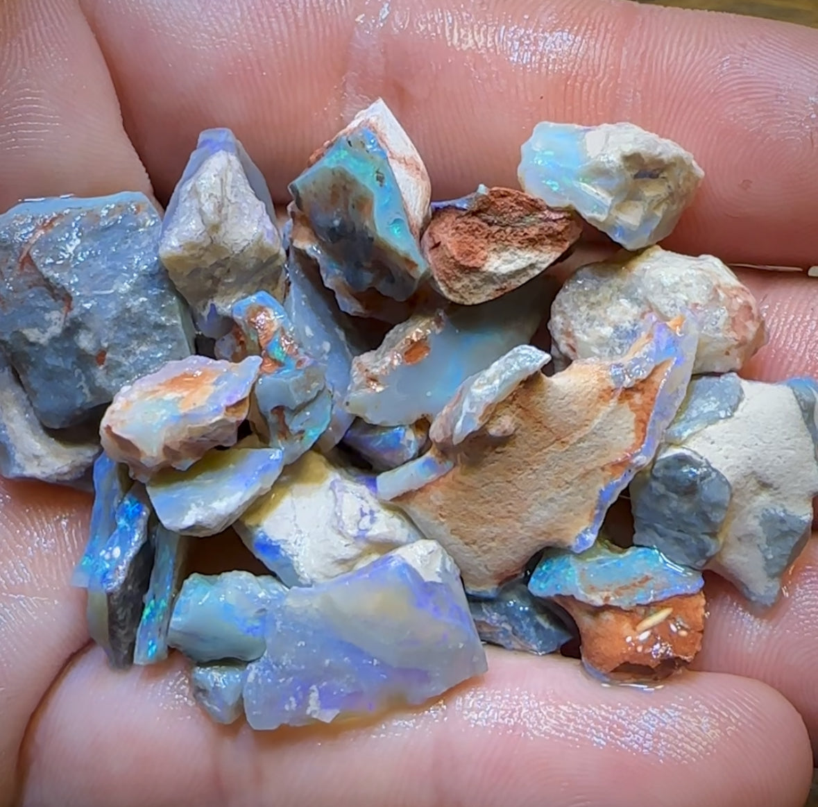 103.5cts - 29x Lightning Ridge Opal Rough Parcel