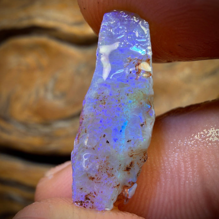 7.1cts - Lightning Ridge Opal Rough Piece. Isaac’s Cutter’s!