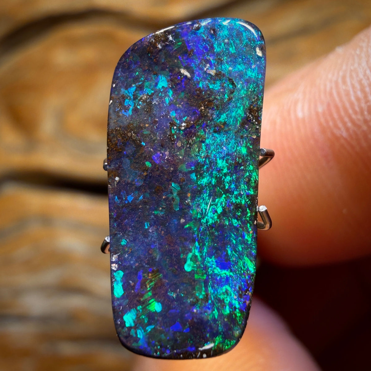 7.1cts - Top Australian Boulder Seam Opal from Winton