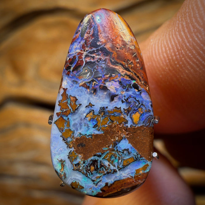 7.2cts - Yowah Nut Opal. Rockpool Pattern!