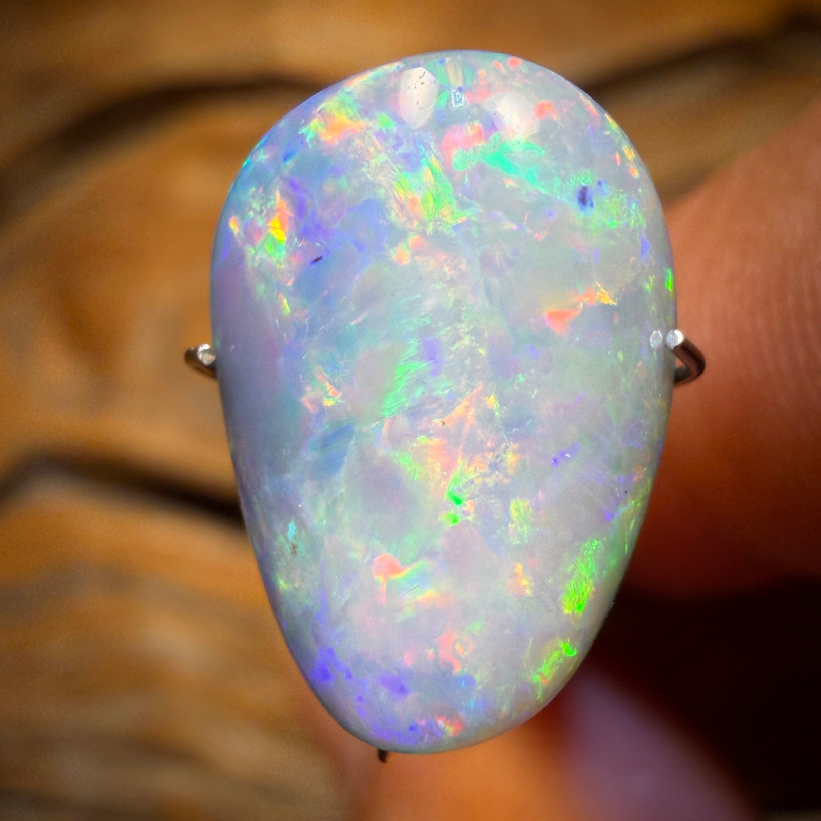 7.5cts - Rare Fossil Shell Australian Opal Doublet