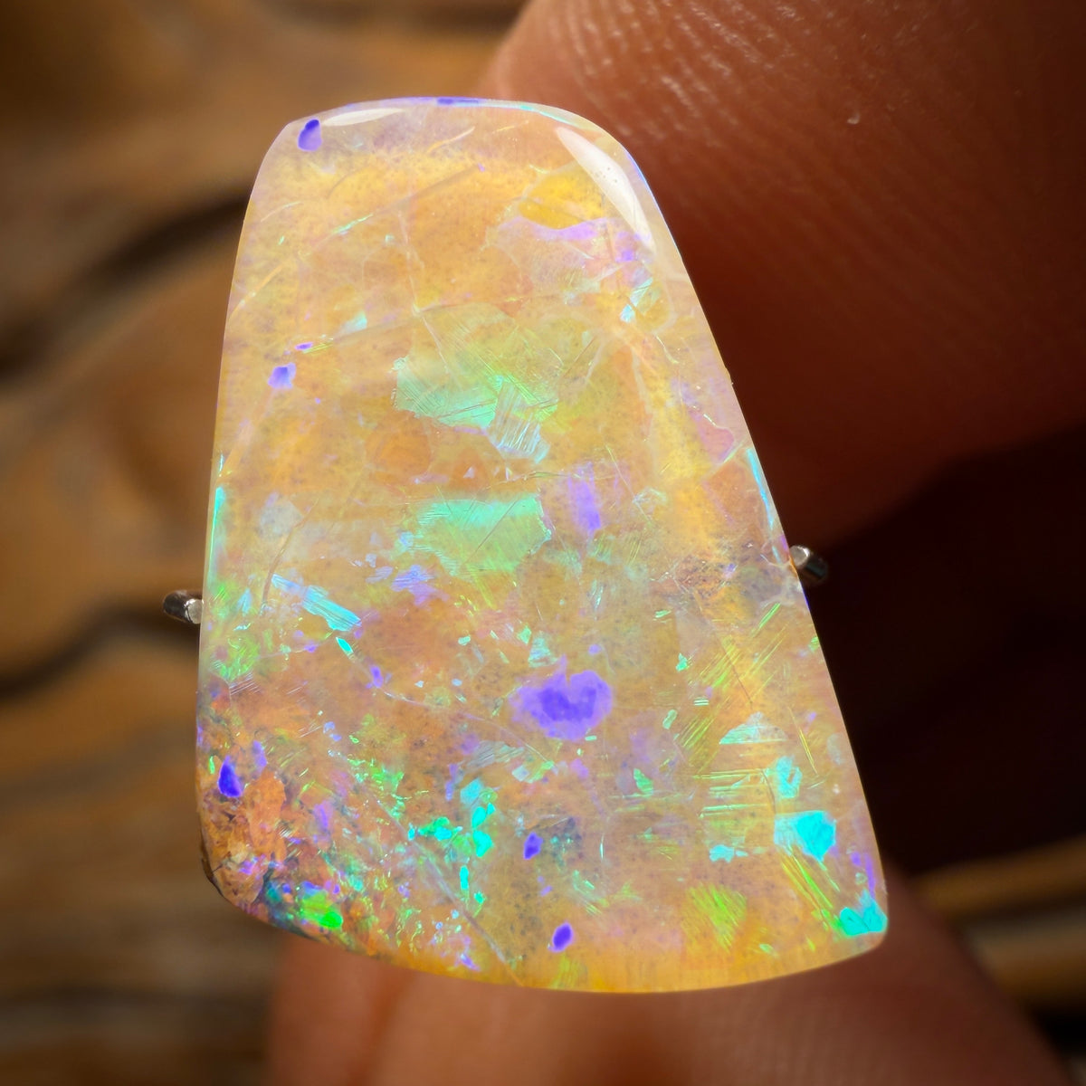 7.7cts - Queensland Boulder Opal. Australian Opal