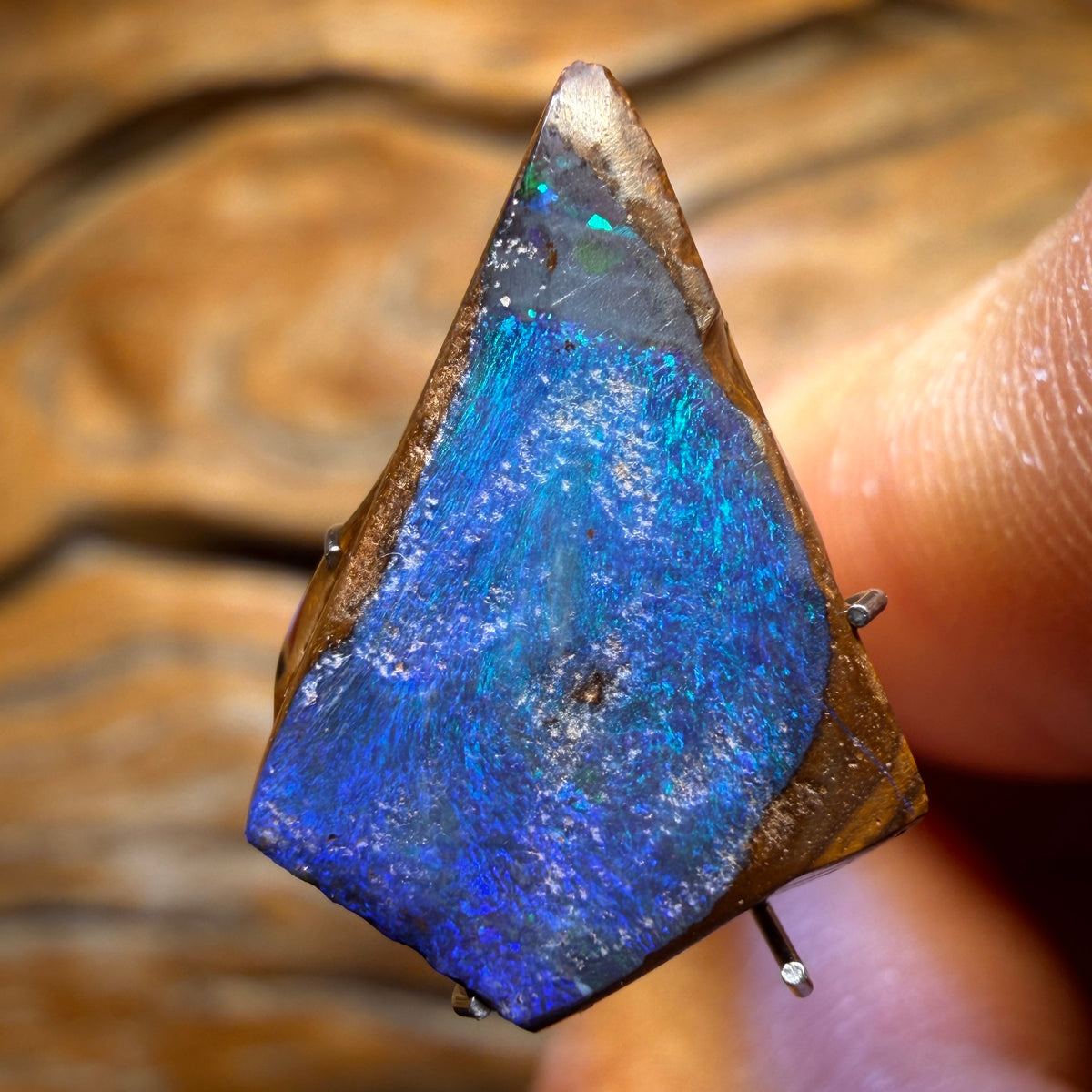 7.9cts - Queensland Boulder Seam Opal Rub