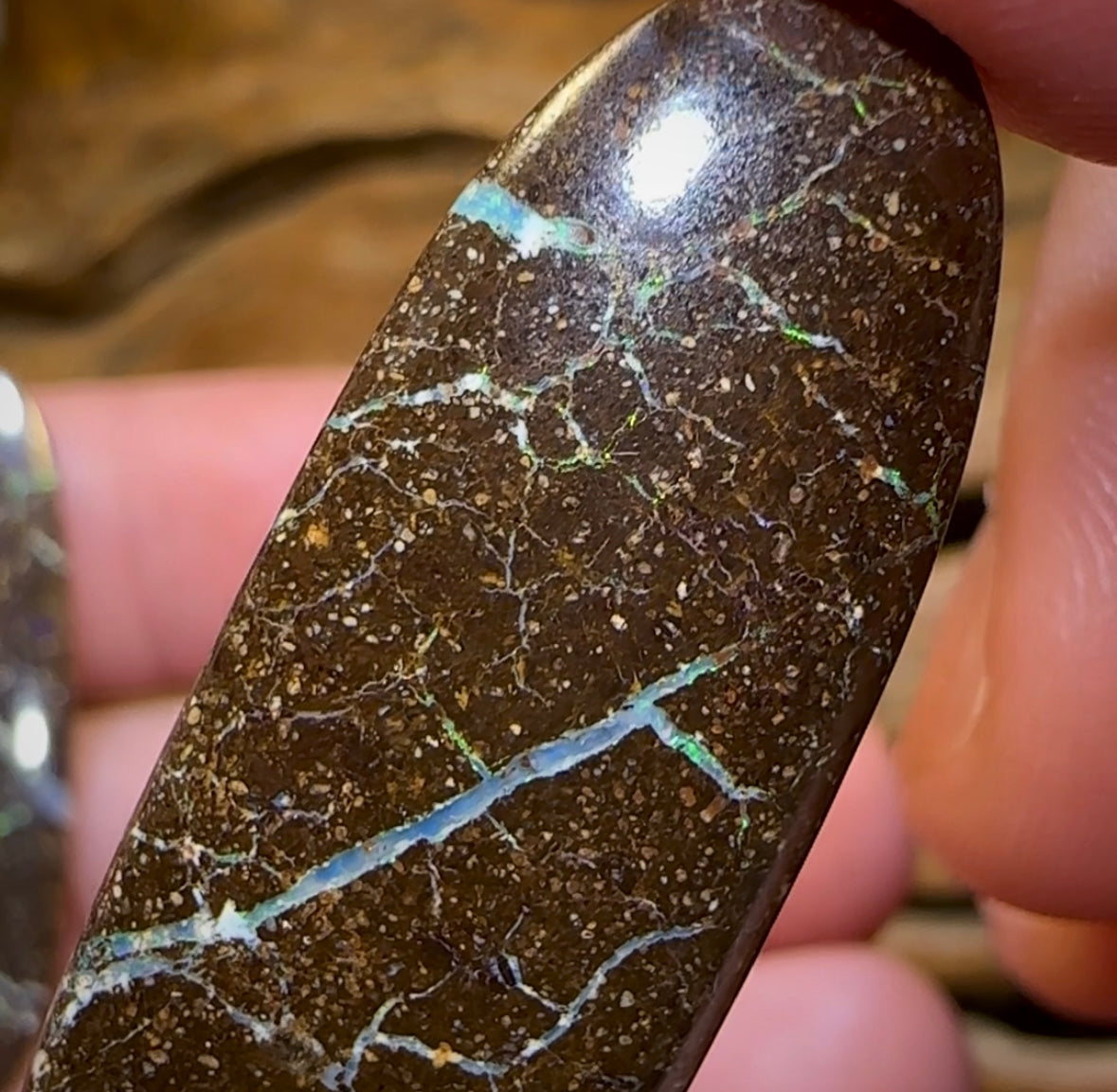 32.7cts - “Opal Web”Australian Boulder Opal Pair - Opal Whisperers