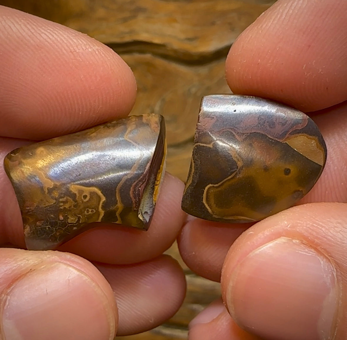 38.7cts - 2 Kernel Fish Yowah Nut Crystal Centre Pair. Heritage Collection - Opal Whisperers