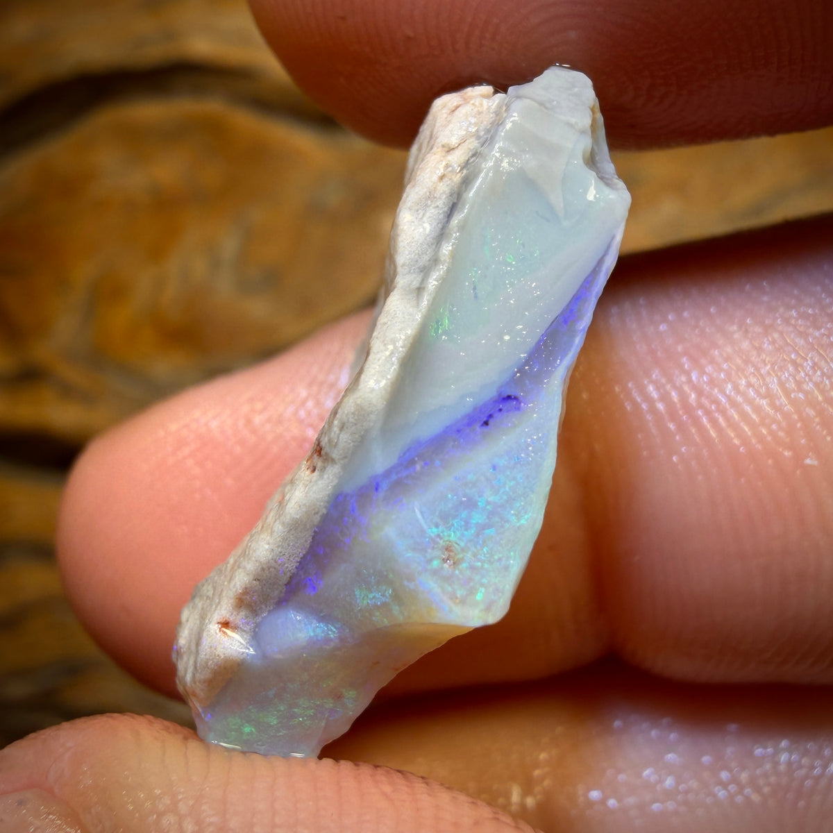 Wildcard! 19.3cts - Lightning Ridge Opal Rough Piece