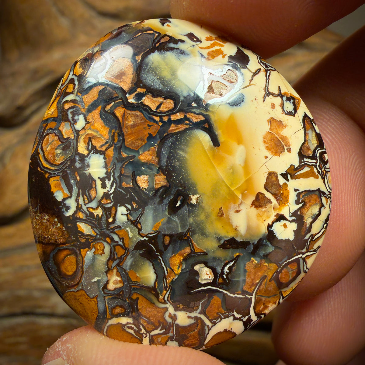 61.1cts - Awesome Tribal Queensland Boulder Opal from Yowah