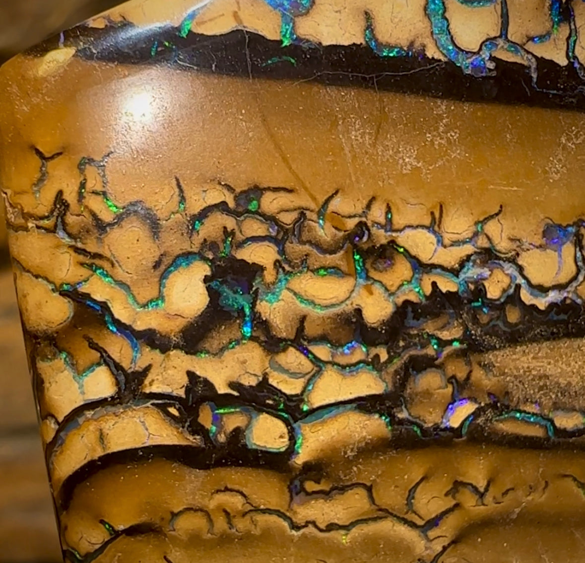 129.9cts - “Story Board”Landscape Pattern Yowah Nut Opal Specimen - Opal Whisperers