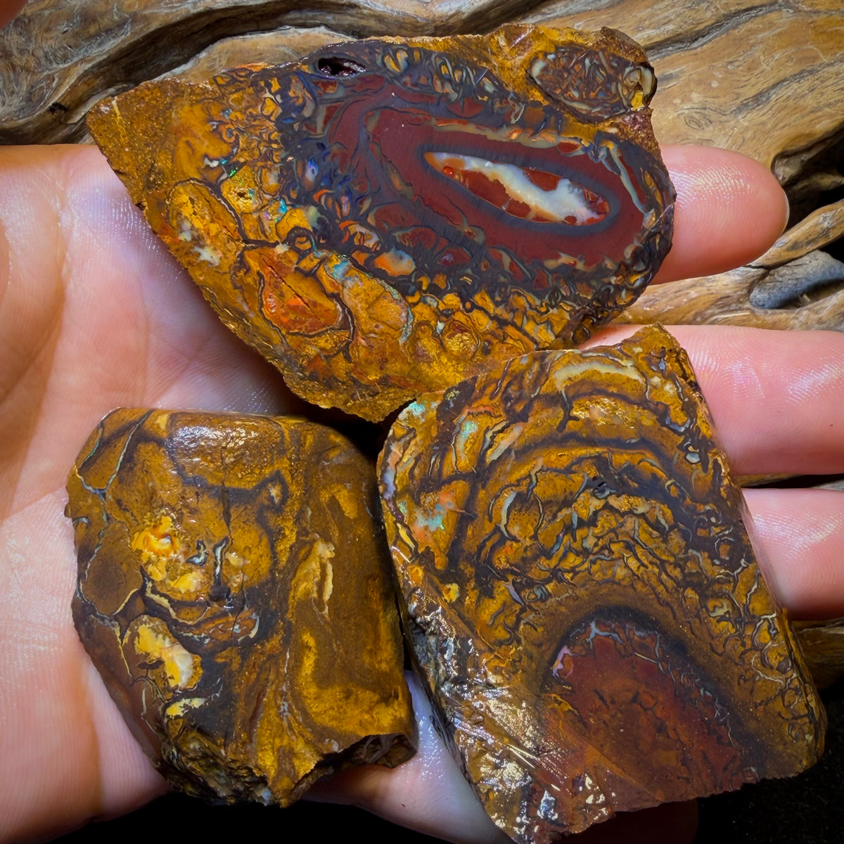 Wild Card! 794cts - 3x Yowah Nut Tribal Opal Rough Parcel. Australian Boulder Opal