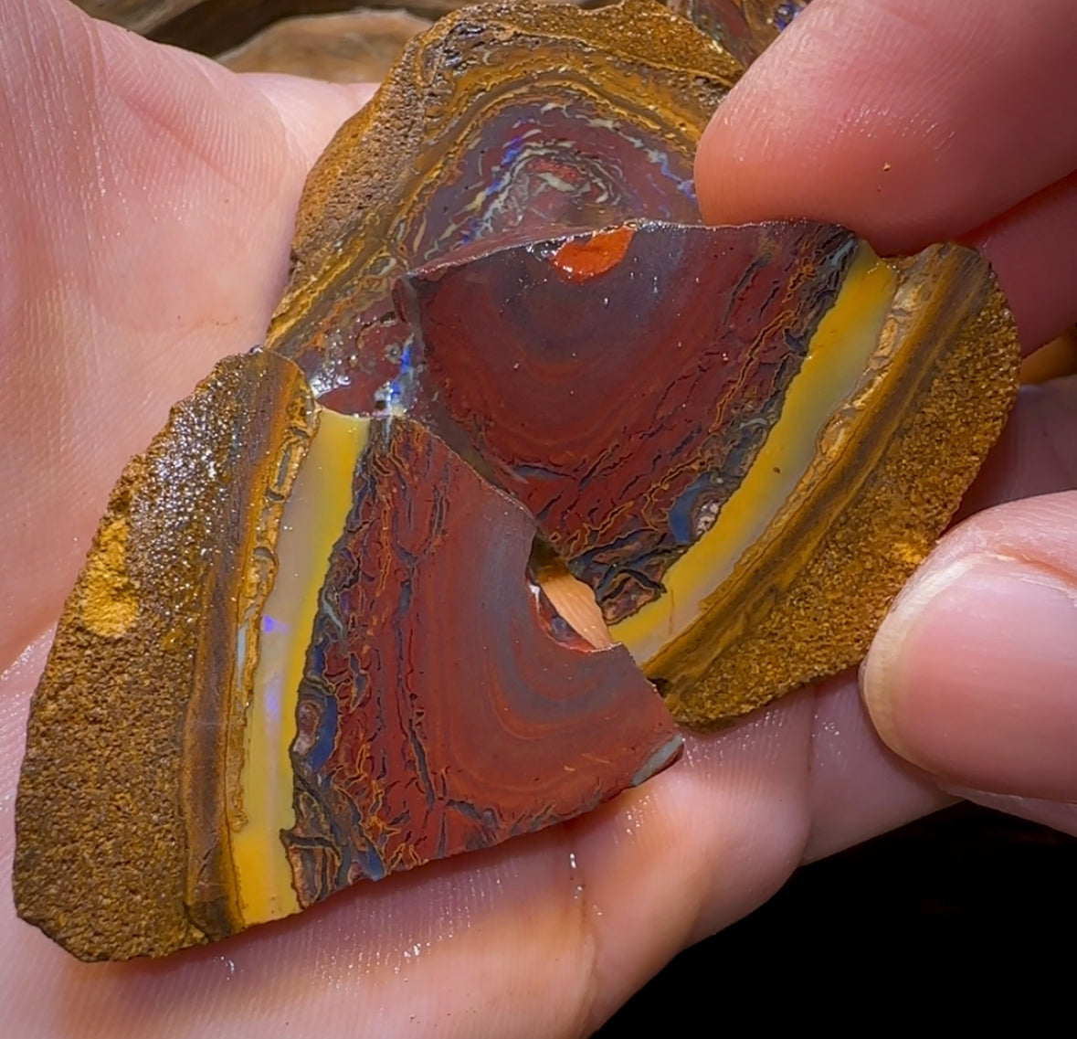 193.1g - 7x Koroit Nut Rough Opal Parcel - Opal Whisperers