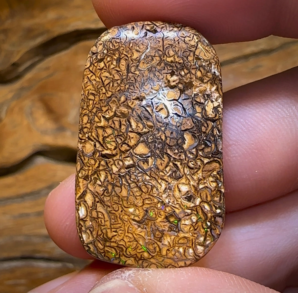 57.1cts - Yowah Nut Tan Tribal Opal. Australian Opal - Opal Whisperers