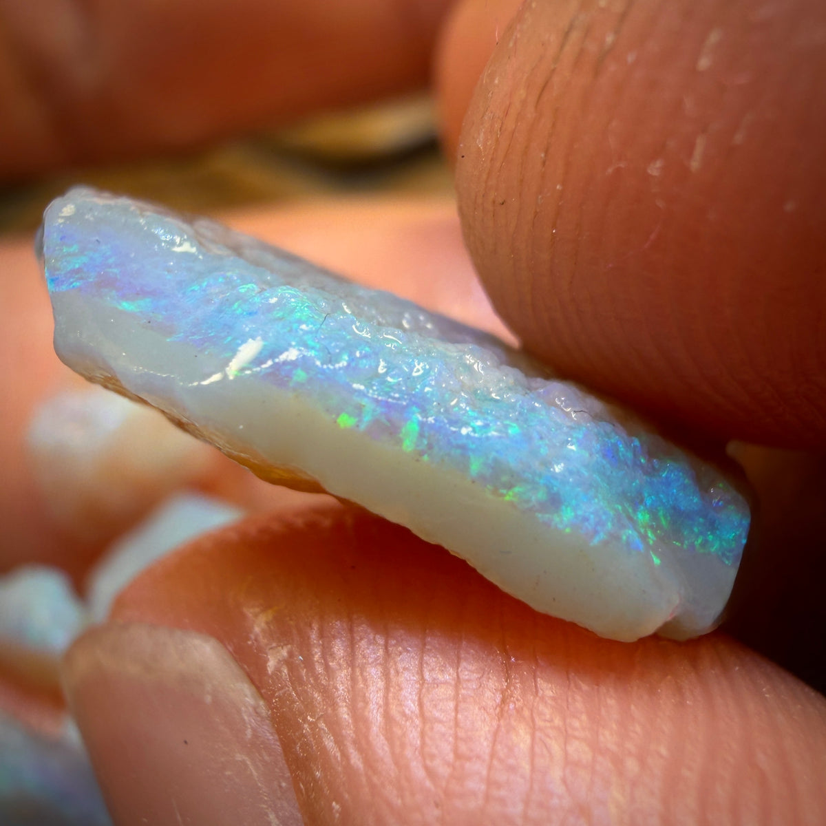 35.6cts - 13x South Australian Dark Opal Rough Parcel