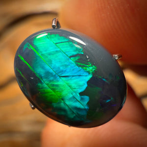 4.7cts - “Claw” Amazing Patterned Black Opal from Lightning Ridge