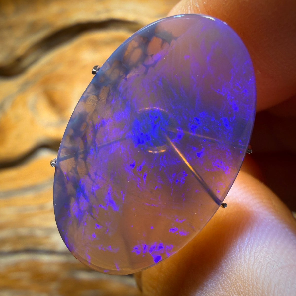 Wow Wildcard! 9.6cts - Big Lightning Ridge Black Crystal Opal