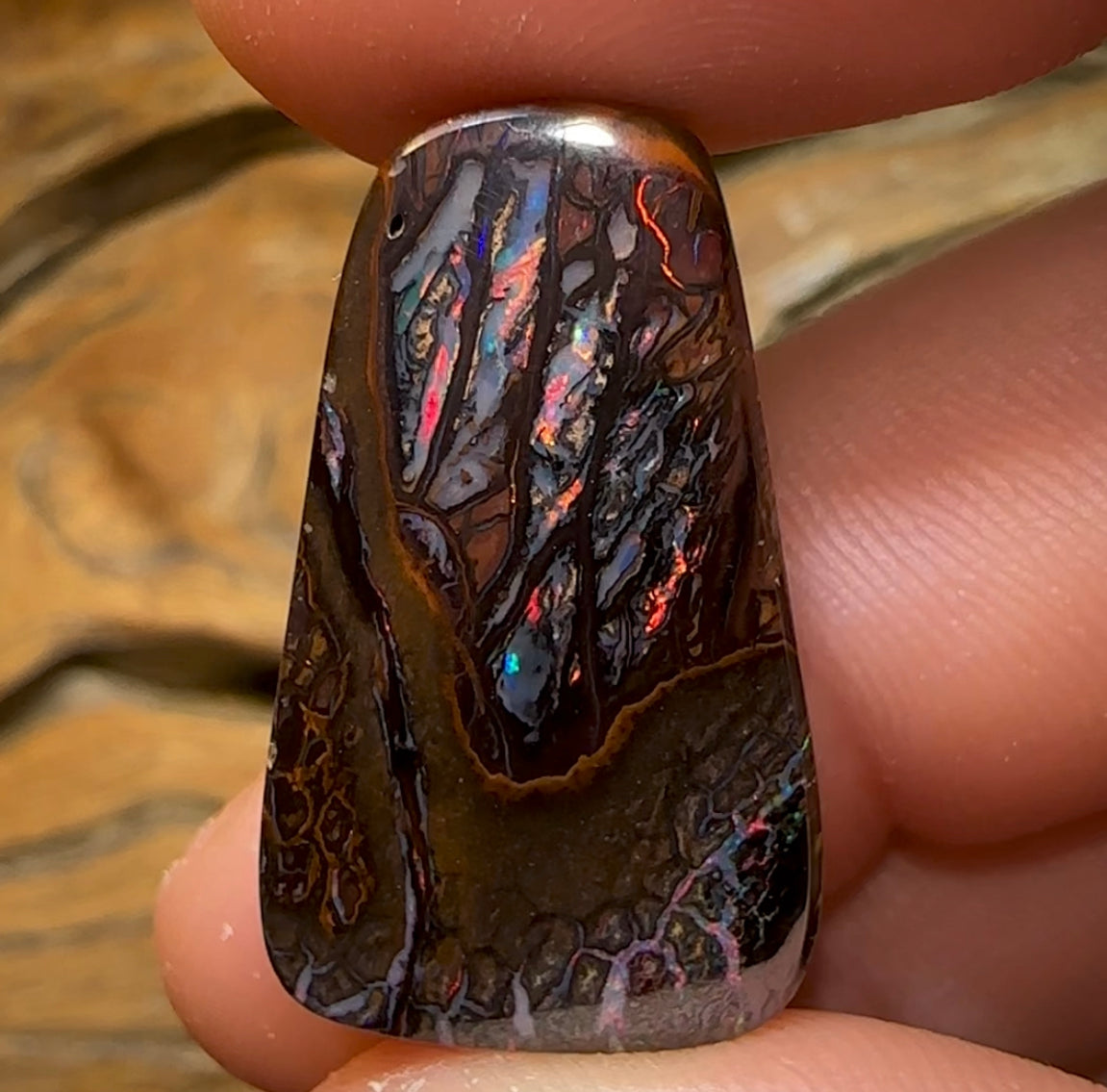 37.4cts - “Red Fire Cathedral” Koroit Queensland Boulder Opal - Opal Whisperers