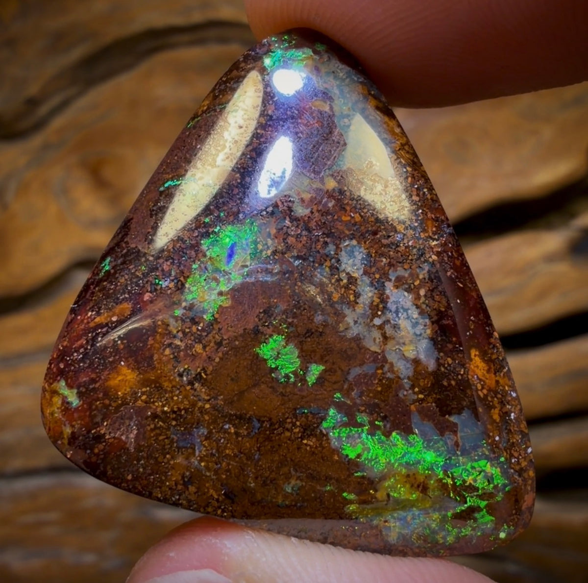 80.2cts - Queensland Boulder Opal from Yowah Big Flashy Bargain