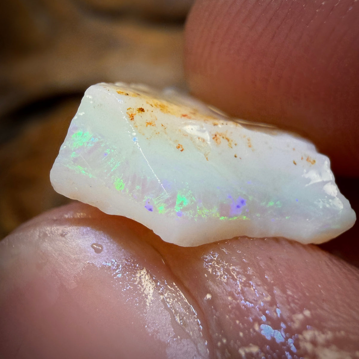 12.2cts - South Australian White Opal Rough Piece