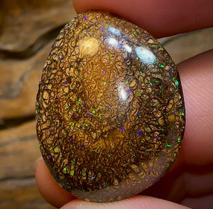 49.7cts - Australian Boulder Opal. Yowah Tribal