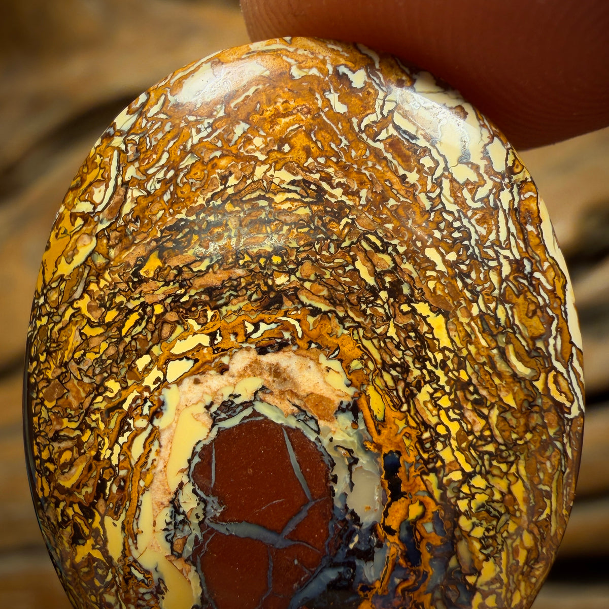 29.7cts - Tribal Queensland Boulder Opal from Yowah