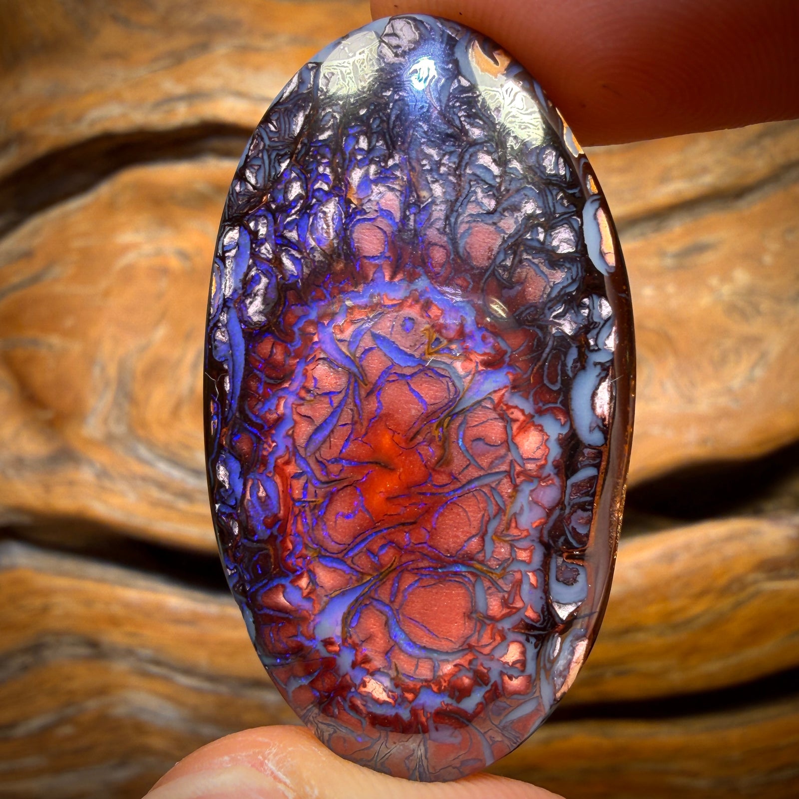 71.5cts - Tribal Queensland Boulder Opal from Yowah