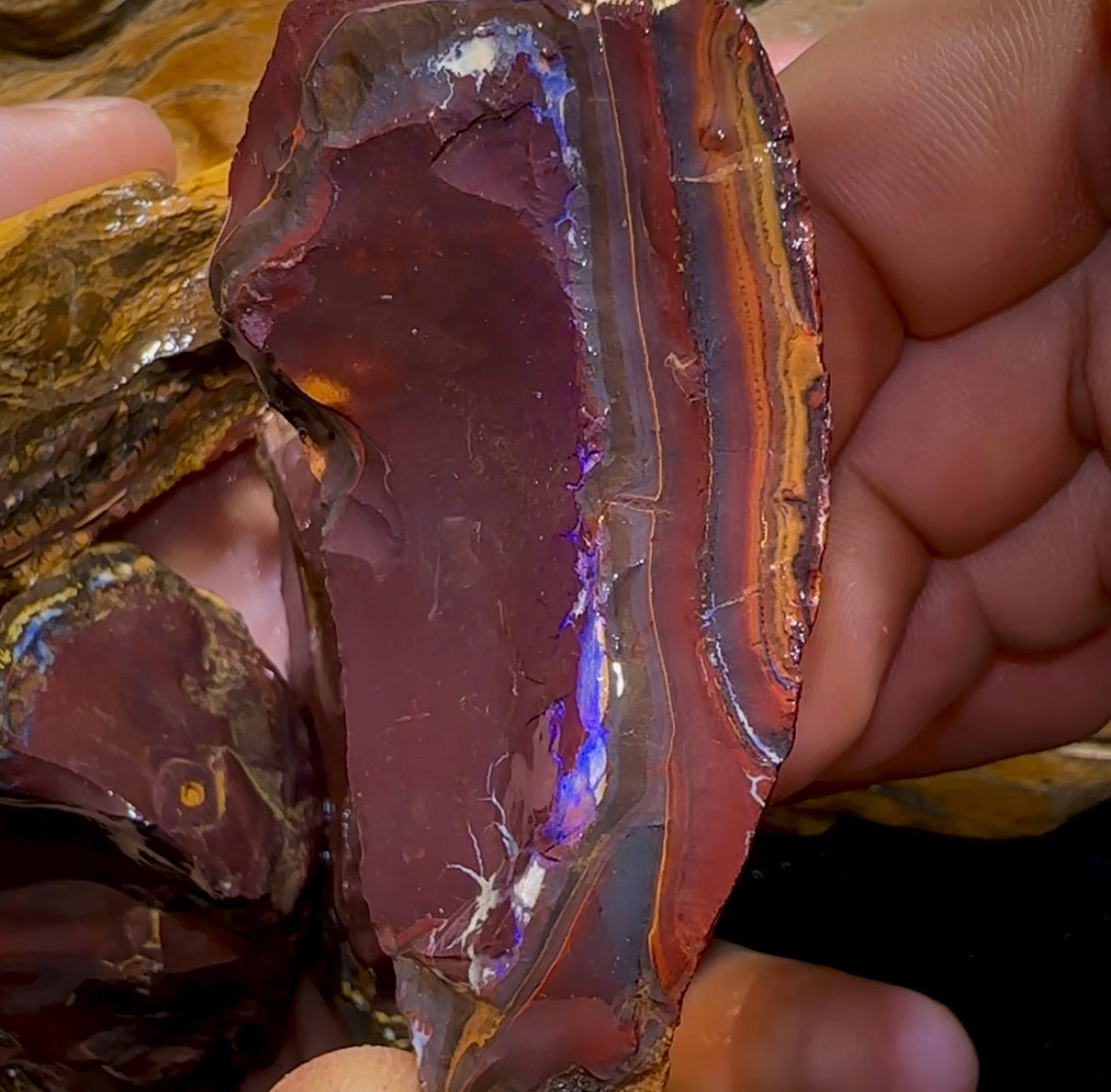 400.4g- 5x Large Queensland Boulder Opal Rough Pieces - Opal Whisperers