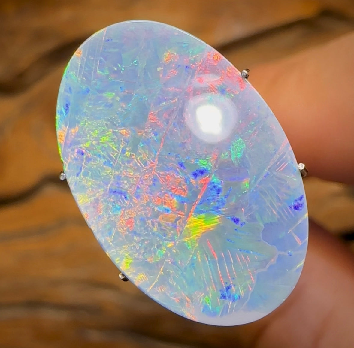 7.4cts - Large Lightning Ridge Black Opal Doublet - Opal Whisperers