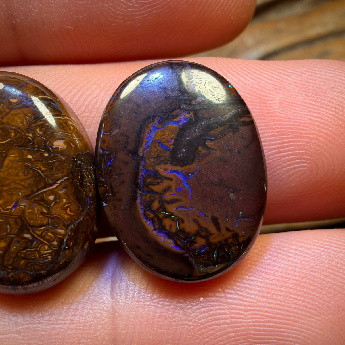 Wildcard! Below Cutting Cost 50.2cts - 3x Australian Tribal Boulder Opal’s. Wholesale Parcel