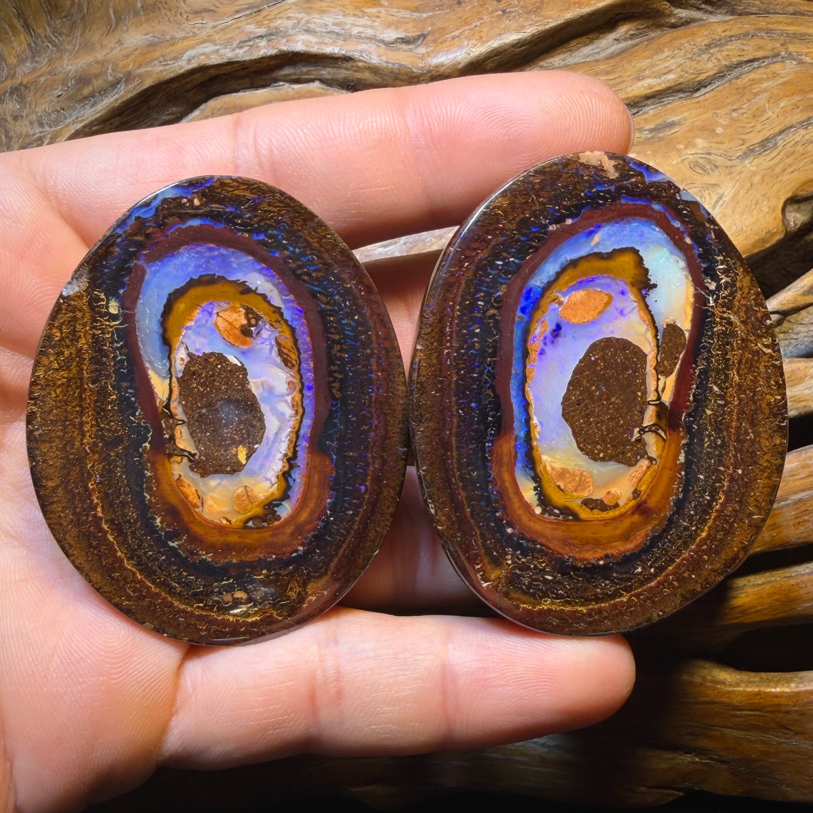 716.4cts - Rare Yowah Nut Crystal Centre Opal Specimen Pair. Polished