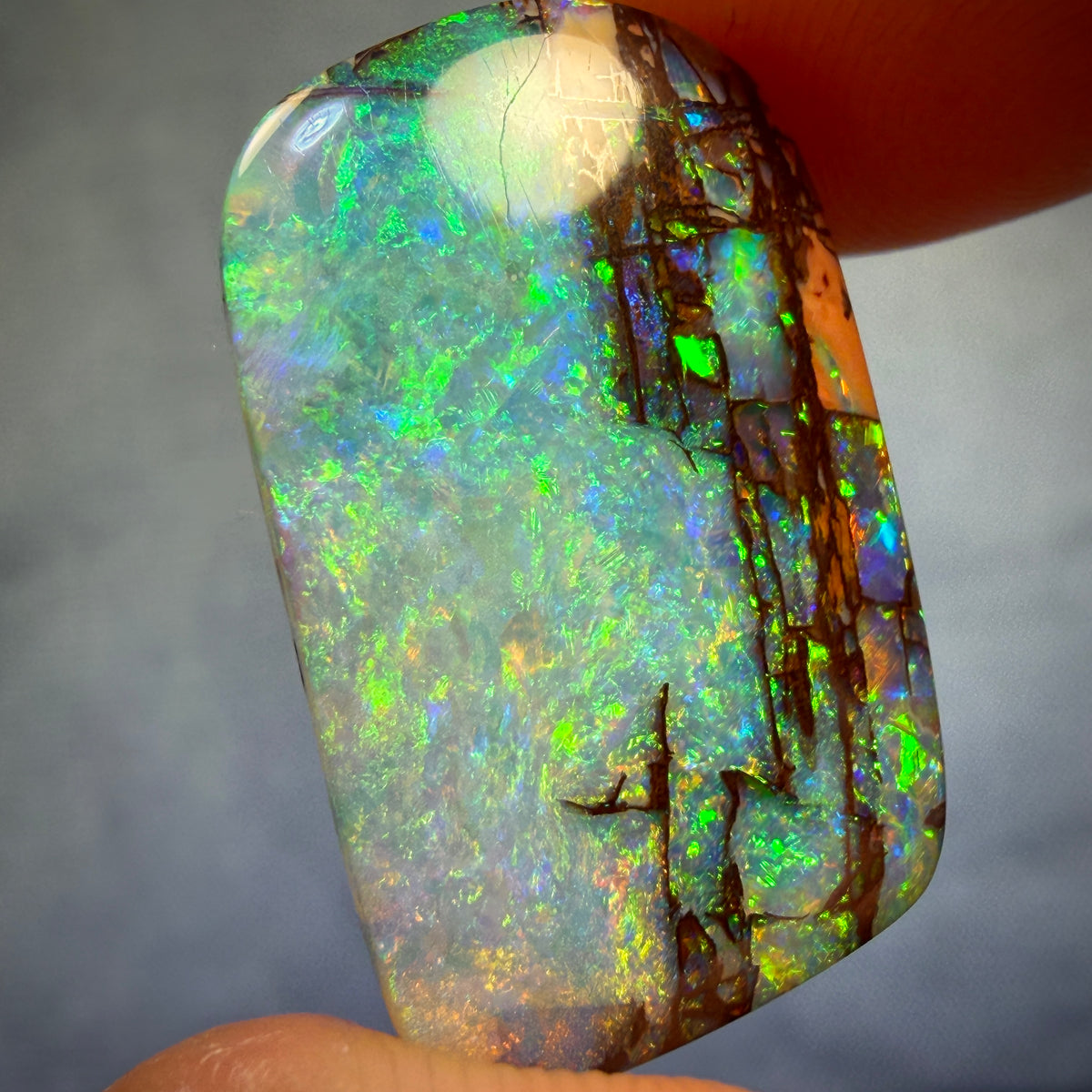 “Set in Stone” - Private Collector Investment - 12.6cts - TOP Gem Wood Fossil Replacement Opal from Yowah. Featured on “Outback Opal Hunters”!