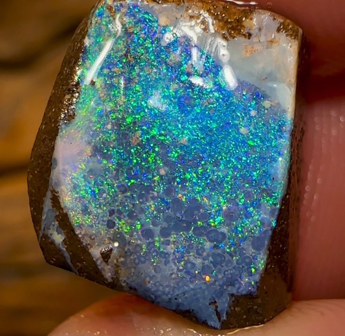 16.3cts - Australian Boulder Opal Rough Preform. Natural Split - Opal Whisperers