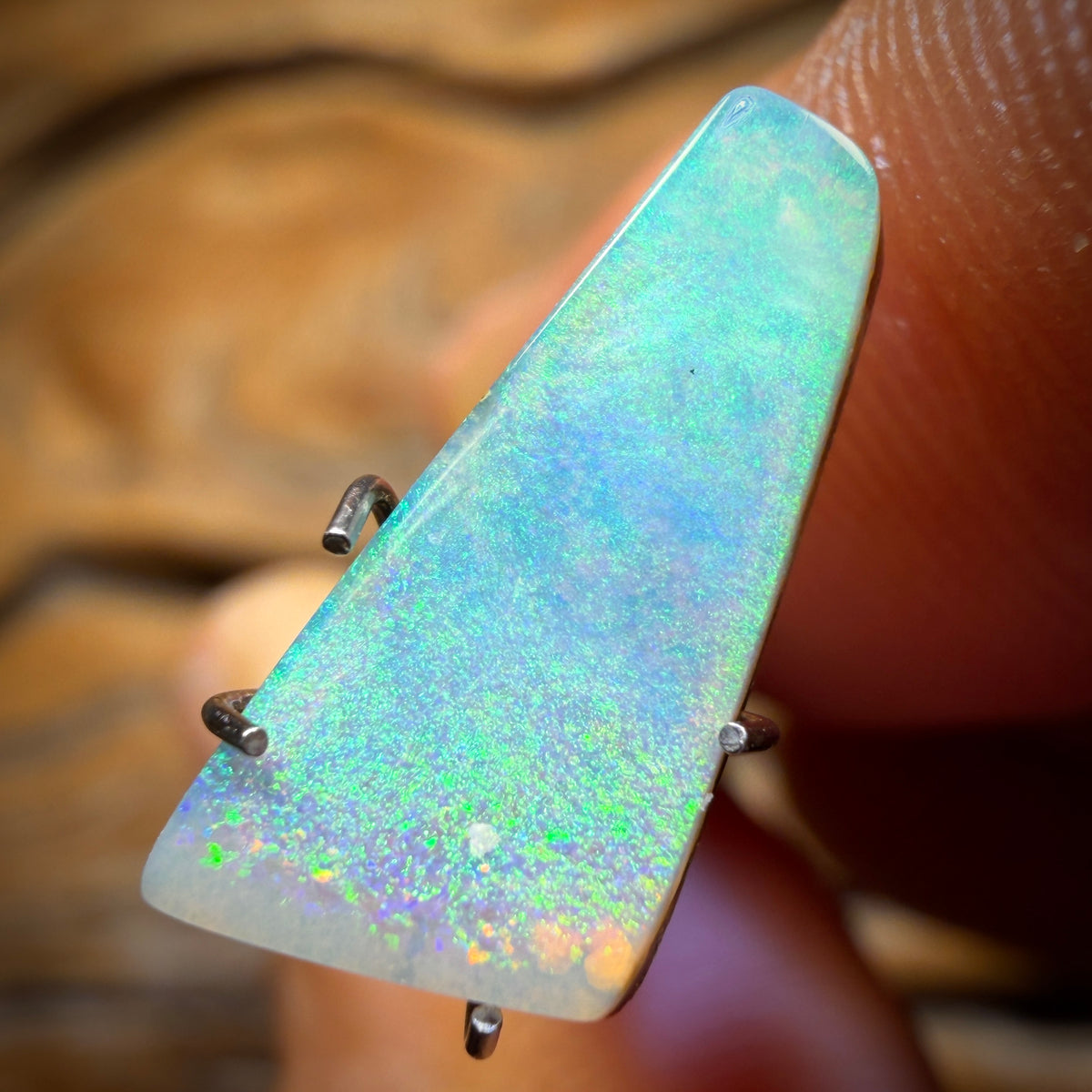 🔨 AUCTION 🔨 2.3cts - Queensland Boulder Seam Opal. RECUTTER’S DELIGHT