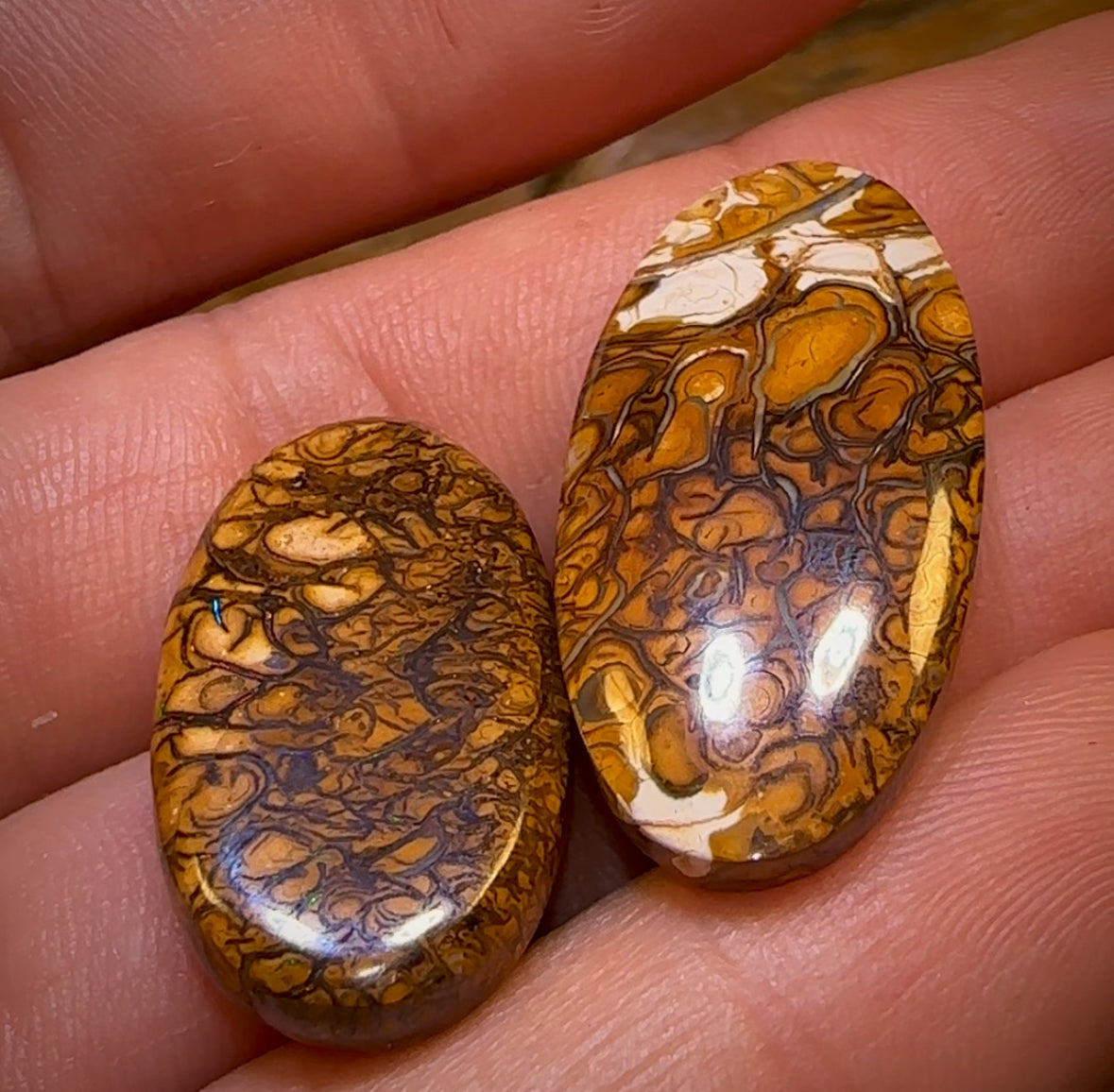 46.2cts - Loose Queensland Boulder Opal Set