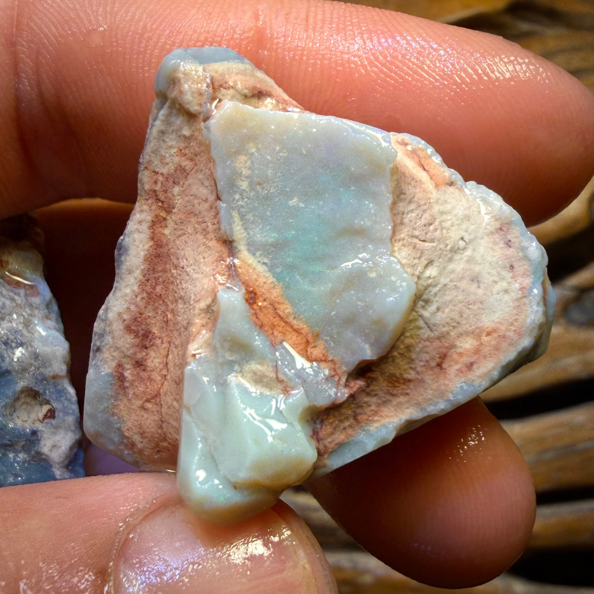 195.8cts - 3x Lightning Ridge Opal Rough Parcel
