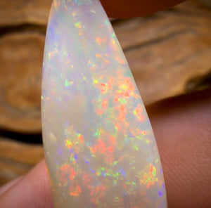 26.9cts - Olympic, South Australian White Opal