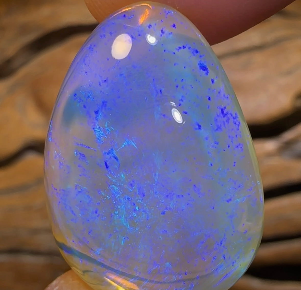 41.7cts - BIG GEM Lightning Ridge Crystal Opal. Heritage Collection - Opal Whisperers